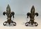 Bronze and Wrought Iron Lily Chenets, 1940s, Set of 2 2