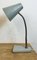 Industrial Grey Gooseneck Table Lamp from Zaos, 1960s 4