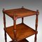 English 3 Tier Whatnot Open Display Stand, 1800s 7