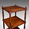 English 3 Tier Whatnot Open Display Stand, 1800s, Image 7