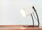 Lampade da tavolo Mid-Century minimaliste, anni '60, set di 2, Immagine 9