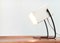 Lampes de Bureau Mid-Century Minimalistes, 1960s, Set de 2 9