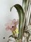 Romantische Vintage Stehlampe mit Blumenmuster, Italien, 1950er 36