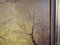 Alberi al tramonto, XX secolo, anni '70, Olio su tela, con cornice, Immagine 8