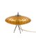 Lámpara de mesa Ufo con platillo volante de cristal de Murano naranja, Murano, Italia, años 70, Imagen 24