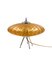 Lampe de Bureau Ufo Flying Saucer en Verre de Murano Orange, Murano, Italie, 1970s 24