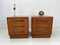 Nightstands by V. Wilkins for G-Plan, 1960s, Set of 2 5