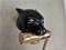 Schwarze Puma Feline Wandlampe im Art Deco Revival, 2000er 7