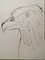 Pablo Picasso, Hawk, Original Lithograph, 1957, Image 1