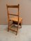Antique Library Ladder, 1890s 6