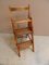Antique Library Ladder, 1890s 3