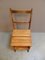 Antique Library Ladder, 1890s 10
