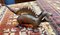 Cascanueces inglés de hierro fundido con forma de dinosaurio, años 30, Imagen 2