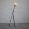 Model 2612 Floor Lamp by Eje Ahlgren for Luco Armaturfabrik, Sweden, 1950s, Image 3