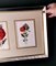 English Artist, Flowers, Chromolithographic Print Diptych, 1900, Framed 20