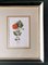 English Artist, Flowers, Chromolithographic Print Diptych, 1900, Framed, Image 13