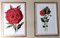 English Artist, Flowers, Chromolithographic Print Diptych, 1900, Framed 9