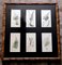 James Sowerby, Botanical Images, 1806, Print Montage, Incorniciato, Immagine 2