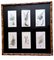 James Sowerby, Botanical Images, 1806, Print Montage, Framed 3