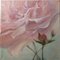 Elena Mardashova, Rose en gros plan, Peinture à l'Huile, 2022 1