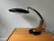 Tiburón Desk Lamp by Luis Perez de La Oliva for Grin Luz, 1960s 1