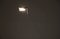 Lámpara de pie Zelig Terra de Walter Monici para Lumina, Italia, años 80, Imagen 2