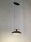 Bronze Pendant Light Lamp by Tobias Grau 7