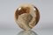 Mid-Century Circular Marble Centerpiece in the style of A. Mangiarotti, Italy, 1960s 7