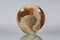 Mid-Century Circular Marble Centerpiece in the style of A. Mangiarotti, Italy, 1960s, Image 7