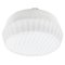 Vintage White Opaline Glass Ceiling Lamp, Image 1