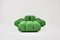 Green Camaleonda Sofa by Mario Bellini for B&B Italia, 1970s, Set of 5 5