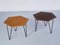 Modular Hexagonal Coffee Tables by Gio Ponti for Isa Bergamo, Italy, 1950s, Set of 7 13