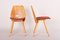 Mid-Century Beech Dining Chairs attributed to František Jirák for Tatra Nabykov, Slovakia, 1950s, Set of 5 4