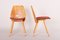 Mid-Century Beech Dining Chairs attributed to František Jirák for Tatra Nabykov, Slovakia, 1950s, Set of 5, Image 4