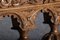 Renaissance Historicism Table in Oak with Lion Head Carvings, 1880s 11