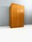 Anthroposophischer Vintage Kleiderschrank, 1960 4