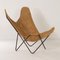 BKF Butterfly Chair by Jorge Ferrari Hardoy for Knoll, 1970s 11