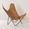 BKF Butterfly Chair by Jorge Ferrari Hardoy for Knoll, 1970s, Image 11