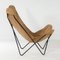 BKF Butterfly Chair von Jorge Ferrari Hardoy für Knoll, 1970er 3