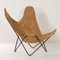 BKF Butterfly Chair by Jorge Ferrari Hardoy for Knoll, 1970s 2