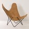 BKF Butterfly Chair by Jorge Ferrari Hardoy for Knoll, 1970s, Image 2