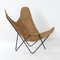 BKF Butterfly Chair von Jorge Ferrari Hardoy für Knoll, 1970er 1