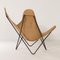 BKF Butterfly Chair by Jorge Ferrari Hardoy for Knoll, 1970s 7