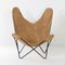 BKF Butterfly Chair von Jorge Ferrari Hardoy für Knoll, 1970er 6