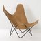 BKF Butterfly Chair von Jorge Ferrari Hardoy für Knoll, 1970er 9