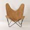 BKF Butterfly Chair by Jorge Ferrari Hardoy for Knoll, 1970s, Image 9