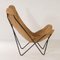 BKF Butterfly Chair by Jorge Ferrari Hardoy for Knoll, 1970s 8