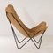 BKF Butterfly Chair by Jorge Ferrari Hardoy for Knoll, 1970s, Image 8