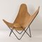 BKF Butterfly Chair by Jorge Ferrari Hardoy for Knoll, 1970s 4