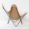 BKF Butterfly Chair von Jorge Ferrari Hardoy für Knoll, 1970er 4
